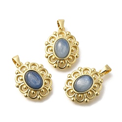 Кианит Натуральные кианитовые подвески, стойка покрытие золотистый тон латунные овальные подвески, долговечный, 18x14x6 мм, отверстие : 3.5x3 мм