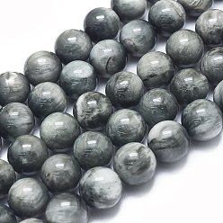 Орлиный Глаз Камень Бусы натуры ястребиный глаз, орлиный глаз камень, класс b, круглые, 12 мм, отверстие : 1 мм, около 33 шт / нитка, 15.75 дюйм (40 см)