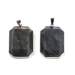 Лабрадорита Природные подвески лабрадорита, граненые прямоугольные подвески, с реечной обшивкой латунными выводами, платина, 34x23x8 мм, отверстие : 4.5x6 мм
