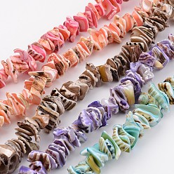 Mixed Color Natural Shell Bead Strands, Dyed, Nuggets, Mixed Color, 10~20x8~12x3~6mm, Hole: 1mm, about 15.7 inch