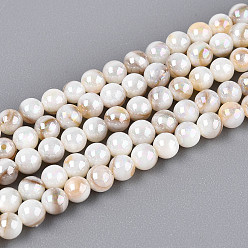 Морская Ракушка Нити бусин из натуральных пресноводных ракушек цвета ab, круглые, цвет морской раковины, 3 мм, отверстие : 0.4 мм, около 116~118 шт / нитка, 14.96~15.16'' (38~38.5 см)