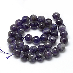 Amethyst Natural Amethyst Beads Strands, Grade AB, Round, 10mm, Hole: 1mm, about 40pcs/strand, 15.7 inch