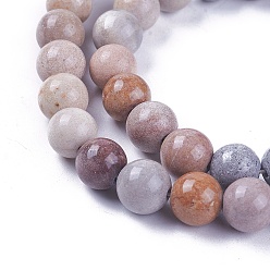 Fossil Coral Natural Fossil Coral Beads Strands, Dyed, Round, 6mm, Hole: 1mm, about 65pcs/strand, 13.5 inch~13.8 inch(34.5~35cm)