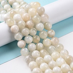 White Moonstone Натуральный белый лунный камень бисер пряди, круглые, 10 мм, отверстие : 0.8 мм, около 38 шт / нитка, 15.55 дюйм (39.5 см)