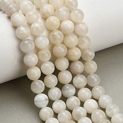 White Moonstone Натуральный белый лунный камень бисер пряди, гладкий круглый, 8 мм, отверстие : 1 мм, около 50 шт / нитка, 15.63'' (39.7 см)