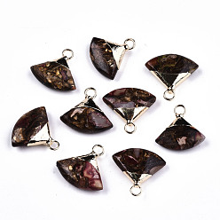 Indian Red Fan Assembled Synthetic Bronzite and Regalite/Imperial Jasper Pendants, with Iron Loop and Light Gold Plated Brass Top, Dyed, Indian Red, 18~19x18~19x5~6mm, Hole: 2mm