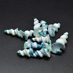 Pale Turquoise Natural Shell Nuggets Beads, Pale Turquoise, 22~25x11~15mm, Hole: 1mm; about 140pcs/500g