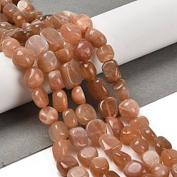 Peach Moonstone Натуральный персиковый лунный камень, самородки, упавший камень, 7~13x4.5~10x4.5~10 мм, отверстие : 1.2 мм, около 44~46 шт / нитка, 15.08~16.14 дюйм (38.3~41 см)