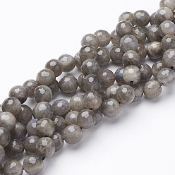 Labradorite Natural Labradorite Beads Strands, Faceted, Round, 8mm, Hole: 1mm