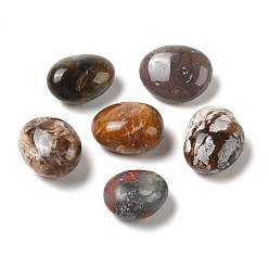 Смешанные камни Бусины из натурального смешанного камня, самородки, нет отверстий / незавершенного, упавший камень, 16~24x14~18x6~12 мм