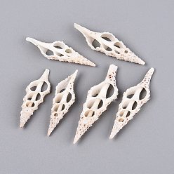 Floral White Natural Spindle Shell Pendants, Shell Slice Charms, Floral White, 43~58x14~17x5.5~6.5mm, Hole: 2~9.5x2~5mm