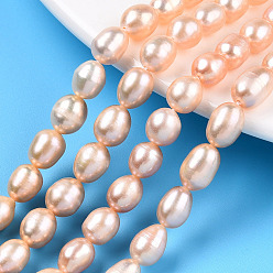 Wheat Natural Cultured Freshwater Pearl Beads Strands, Rice, Wheat, 7~14x6.8~7.5mm, Hole: 0.7~0.8mm, about 38~45pcs/strand, 14.57 inch(37cm)