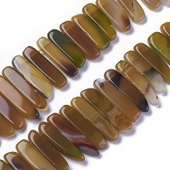 Coffee Dyed Natural Agate Beads Strands, Tusk Shape, Coffee, 16.5~39x7.5~9.5x5.5~6.5mm, Hole: 1.5mm, about 38~40pcs/strand, 14.8~15.3 inch(37.5~39cm)