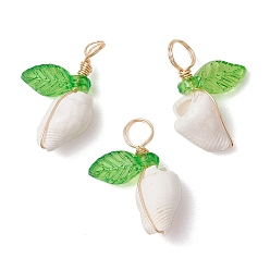 Белый Подвески из натуральной морской ракушки, обмотанные медной проволокой, с акриловым листом цвета зеленого лайма, золотые, белые, 17~23x10.5~13.5x6.5~9 мм, отверстие : 4 мм
