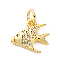 Fish Латунные микро проложить кубического циркония подвески, без кадмия и без свинца, морские животные амулеты, реальный 16 k позолоченный, с целью перехода в кольце, рыба, 14.5x12x2 мм, отверстие : 3 мм