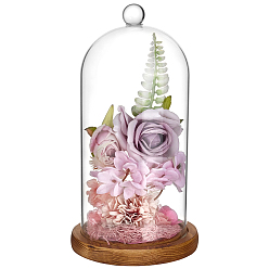 SillínMarrón Cubierta de cúpula de vidrio de arco, vitrina decorativa, campanario cloche terrario con base de madera, saddle brown, 122x230 mm