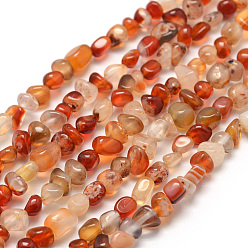 Красный Агат Крашеные природные сердолика бусы пряди, самородки, 3~5x3~5x3~8 мм, отверстие : 1 мм, около 85~90 шт / нитка, 15.7 дюйм (40 см)