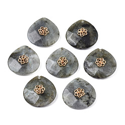 Латунь Подвеска из натурального лабрадорита со стразами, с фурнитурой из латуни с покрытием из светлого золота, граненые, слеза, без кадмия и без свинца, пригодный для стразов 1.4 мм, 28x28x9~20 мм, отверстие : 1.2~1.5 мм