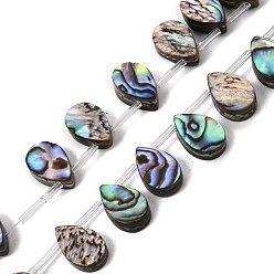 Colorful Natural Abalone Shell Paua Shell Beads Strands, Teardrop, Top Drilled, with Plastic Tube Beads, Colorful, 12~12.5x8x4.5mm, Hole: 0.5mm, about 32pcs/strand, 15.16''(38.5cm)