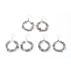 Лабрадорита Натуральный лабрадорита болтаться серьги, с платиновыми латунь серьги крючки, круглые кольца, 51.2~56.2 мм , штифт: 0.5 мм