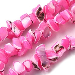 Ярко-Розовый Натуральная оболочка из трохидных оболочек, окрашенные, самородки, ярко-розовый, 5~22x7~15x3~8 мм, отверстие : 1.2 мм, около 65~70 шт / нитка, 14.69~15.35'' (37.3~39 см)
