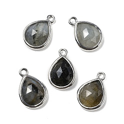 Лабрадорита Ограненные подвески из натурального лабрадорита, стойки с позолоченными латунными подвесками-каплями, 14x9.5x4 мм, отверстие : 1.4 мм