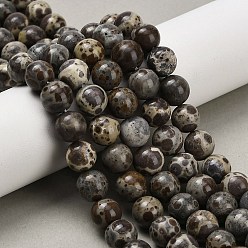 Природный Драгоценный Камень Нити бусин из натуральной яшмы астроита, круглые, 8.5 мм, отверстие : 0.8 мм, около 47 шт / нитка, 15.47'' (39.3 см)