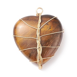 Тигровый глаз Природных тигровый глаз подвески, с медной проволокой светло-золотистого цвета, обернутой, сердце, 38~41x30~31x9 мм, отверстие : 3~4 мм