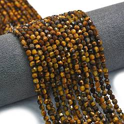 Тигровый глаз Природных тигровый глаз бисер нитей, энергетическая призматическая огранка с двойными концами бусины, граненые двухконусные, 4x4.5 мм, отверстие : 0.4 мм, около 83 шт / нитка, 14.96 дюйм (38 см)