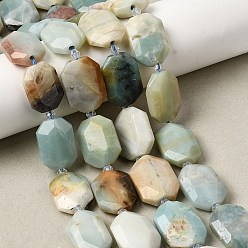 Амазонит Природных амазонит бисер нитей, прямоугольник граненый, 20~23x14~16x4~9 мм, отверстие : 1 мм, около 15~16 шт / нитка, 15.1 дюйм (38.5 см)