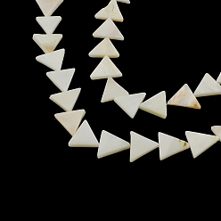 Other Sea Shell Triangle Natural Sea Shell Beads Strands, 11~12x12~15x2~3mm, Hole: 0.5mm, about 30pcs/strand, 13.3 inch