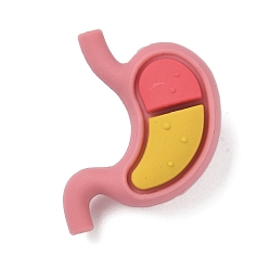 Pink Силиконовые бусины, фокусные бусы, желудок, розовые, 31x22.5x13 мм, отверстие : 2 мм