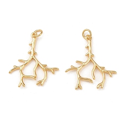 Настоящее золото 18K Латунные подвески, филиал, с прыжковых колец, без свинца и без кадмия, долговечный, стойки покрытие, реальный 18 k позолоченный, 27.5x24.5x2 мм, отверстие : 3 мм