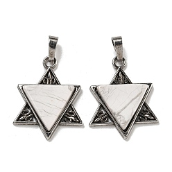 Говлит Природные подвески Говлит, звезда прелести Дэвида, со сплавочной фурнитурой античного серебряного тона, без кадмия и без свинца, 29x23.5x5 мм, отверстие : 7x5 мм