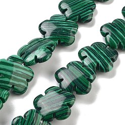 Малахит Синтетические бусины из малахлита, цветок, 20x20x6 мм, отверстие : 1.2 мм, около 20 шт / нитка, 14.57~14.96 дюйм (37~38 см)