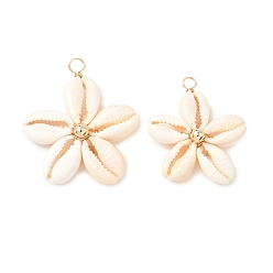 (52) Непрозрачная лаванда Подвески из натуральных смешанных ракушек каури, звезда, с латунными проставками и медной проволокой, разноцветные, 33~38x29.5~34x6.5~7.5 мм, отверстие : 3.5 мм