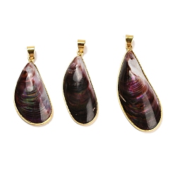 Golden Natural Shell Pendants, Brass Teardrop Charms with Snap on Bails, Golden, 38~49x17~20x7~9mm, Hole: 6x4mm
