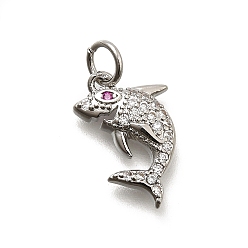 Платина Латунные микро проложить кубического циркония подвески, акул амулеты, долговечный, без свинца и без кадмия, стойки покрытие, с целью перехода в кольце, платина, 15.5x11x3 мм, отверстие : 3.5 мм