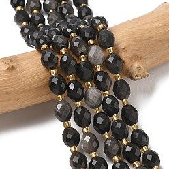 Silver Sheen Obsidian Натуральный серебристый блеск нитей обсидиана, граненые, рис, с бисером, 7.5~8x6~7.5 мм, отверстие : 0.8~1 мм, около 36~40 шт / нитка, 15.55~15.75'' (39.5~40 см)