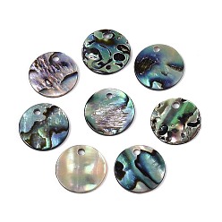 Раковина Натуральные подвески из ракушек пауа, 12x1~1.5 мм, отверстие : 1.4~1.6 мм