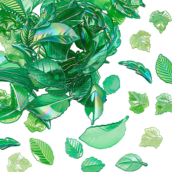 Зеленый лайм 100g подвески из прозрачного акрила, лист, зеленый лайм, 24~54x14~29.5x4~7.5 мм, отверстие : 1.6~1.8 мм