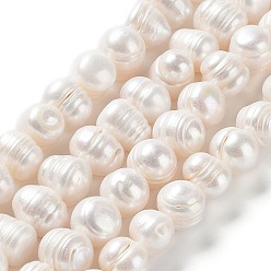 Antique White Natural Cultured Freshwater Pearl Beads Strands, Potato, Grade 3A, Antique White, 9.5~12.5x9~11mm, Hole: 0.5mm, about 34pcs/strand, 13.86''(35.2cm)