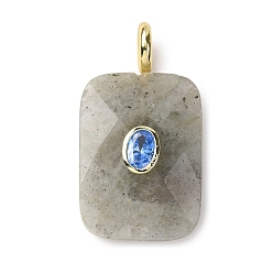 Лабрадорита Ограненные подвески из натурального лабрадорита, Прямоугольные подвески с латунными фианитами в оправе., стойки покрытие, золотые, 33~34x18x7.5~8 мм, отверстие : 4 мм