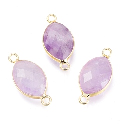 Аметист Соединители звеньев натурального аметиста, с легкой позолоченной латунной фурнитурой, граненые, лошадиный глаз , 23x10.8x5.7 мм, отверстие : 2.2 мм