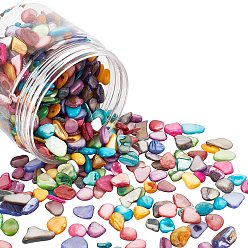 Mixed Color Natural Shell Beads, Shell Shards, No Hole/Undrilled, Nuggets Chips, Mixed Color, 7.5~16.8x6~12x2~7mm, about 121pcs/box