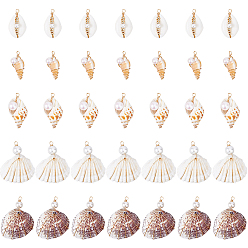 Морская Ракушка 35 шт. 5 стили подвески из натуральной смешанной медной проволоки, подвески из ракушек с ракушечным жемчугом, золотые, цвет морской раковины, 12.5~23.5x25.5~42x7~15 мм, отверстие : 2~4.2 мм, 7 шт / стиль