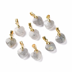 Лабрадорита Природные подвески лабрадорита, с застежкой из латуни золотистого цвета, ограненные сердце прелести, 11x12x5 мм, отверстие : 4.5x3.5 мм