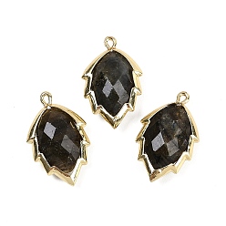 Лабрадорита Подвески из натурального лабрадорита в форме листа, стойки обшивки латунные прелести, золотые, 23x13.5x5.5 мм, отверстие : 1.2 мм