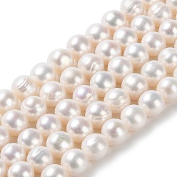 PapayaWhip Natural Cultured Freshwater Pearl Beads Strands, Potato, Grade 2A++, PapayaWhip, 9~10x8~9mm, Hole: 0.7mm, about 42pcs/strand, 14.65''(37.2cm)
