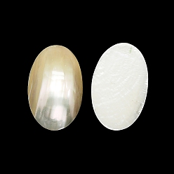 White Natural Shell Cabochons, Oval, White, 26x16~17x5~7mm